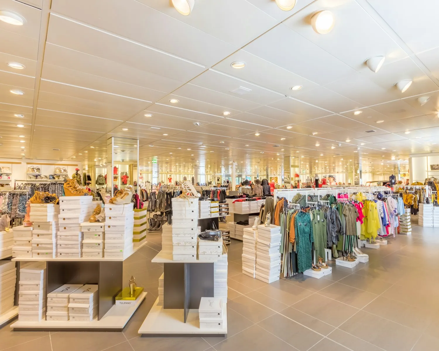 Business & Nueva Apertura